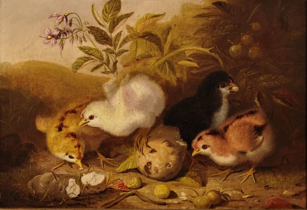 Mary Russell Smith, Feathered Tribe, 1871