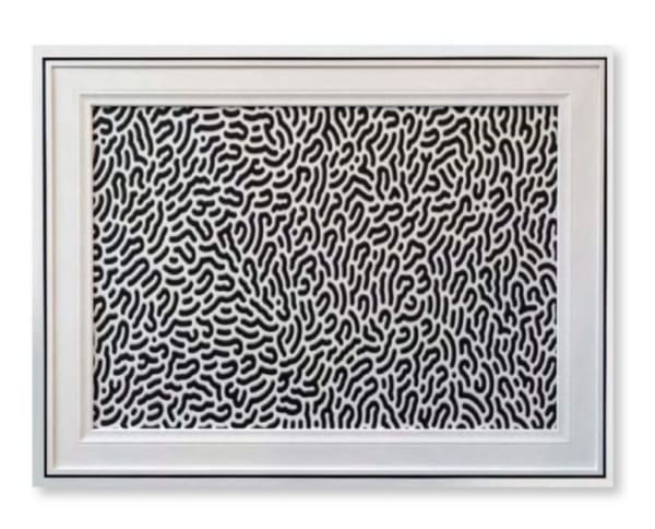 Lefty Out There, TOPO, 2022