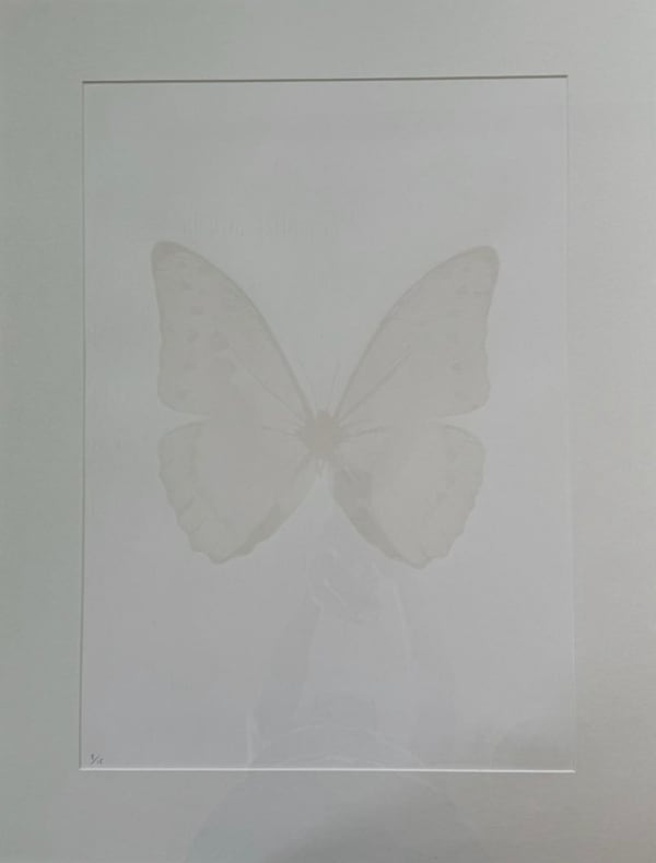 Damien Hirst, The Souls III (Cotton White), 2010