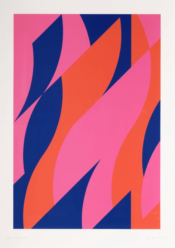 Bridget Riley, Large Fragments 2, 2009