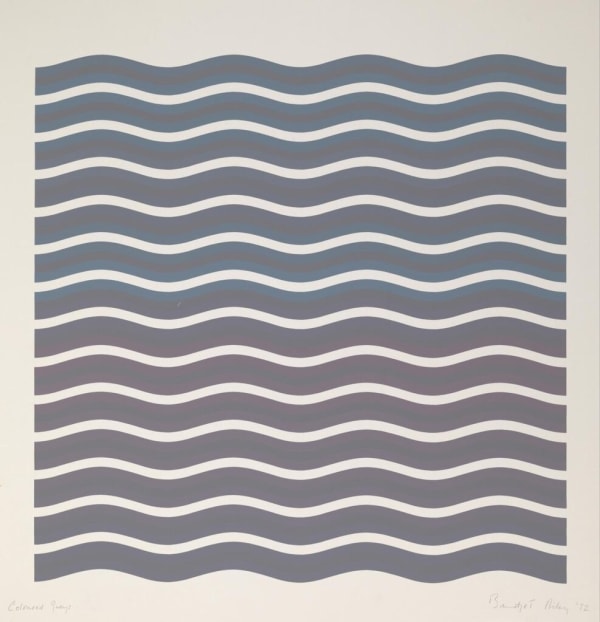 Bridget Riley, Coloured Greys (2), 1972