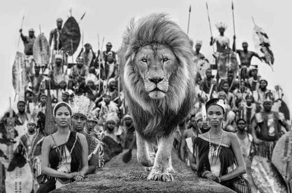 David Yarrow, Catwalk, 2021