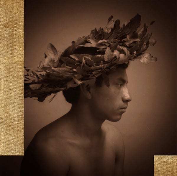 Untitled (El Arbol Gold)