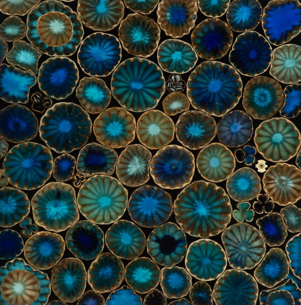 Mayme Kratz, Spring Bloom Study 10, 2024