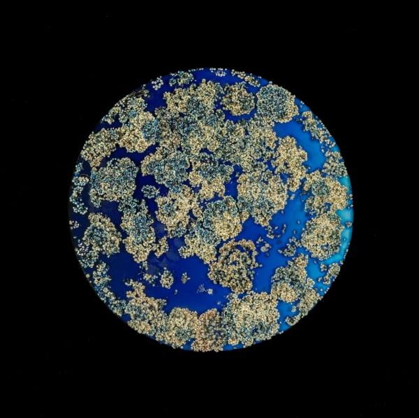 Blue Planet