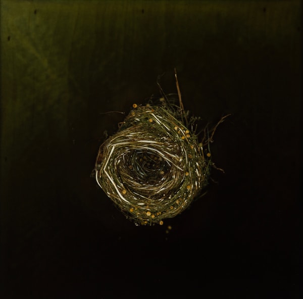 Mayme Kratz, Knot 395, 2024