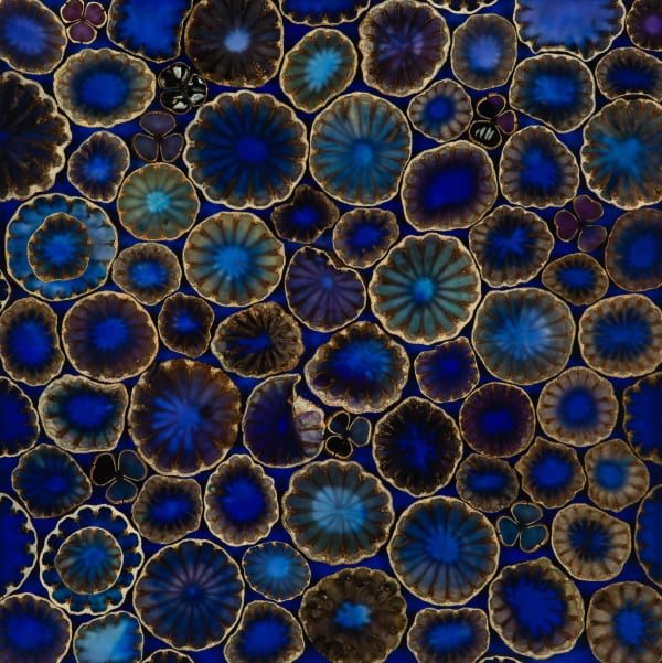 Mayme Kratz, Spring Bloom Study 11, 2024