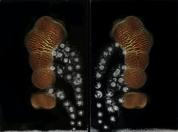 The God Cell #0771L - #0832R