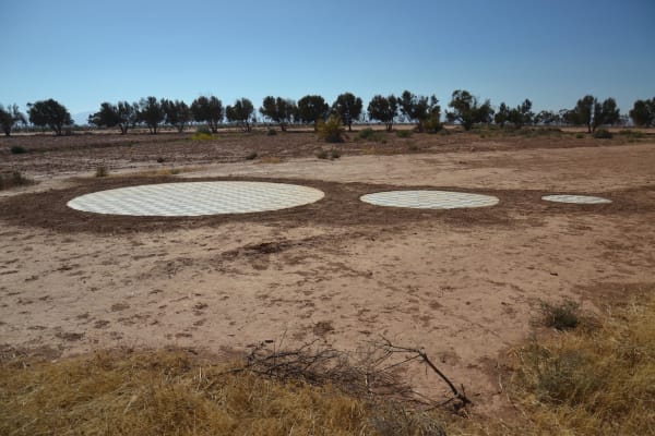 Hicham Benohoud, Untitled, 2018