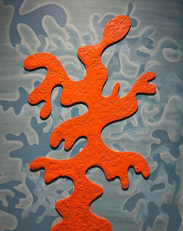 Malika Agueznay, Série Algues Mouvantes, 2025