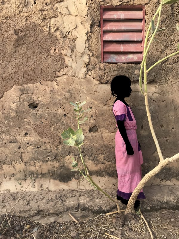 Saidou Dicko, La nature, 2019