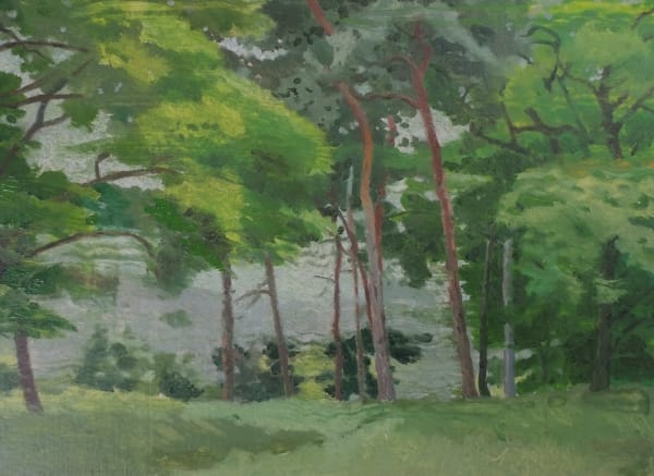 Mark Entwisle, Pines , 2022