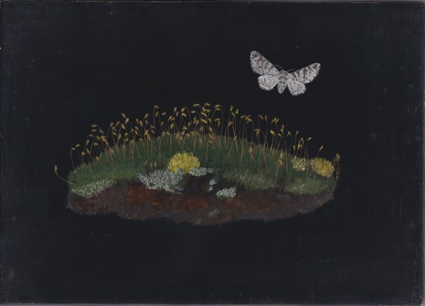 Melanie Miller, Understory Pepper Moth, 2023