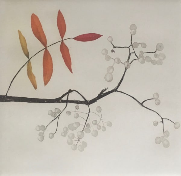 Cliona Doyle, Sorbus, 2014