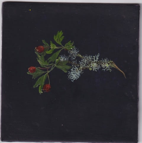 Melanie Miller, Hawberries