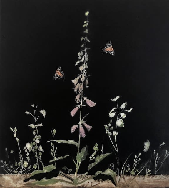 Cliona Doyle, Black Foxglove, 2023