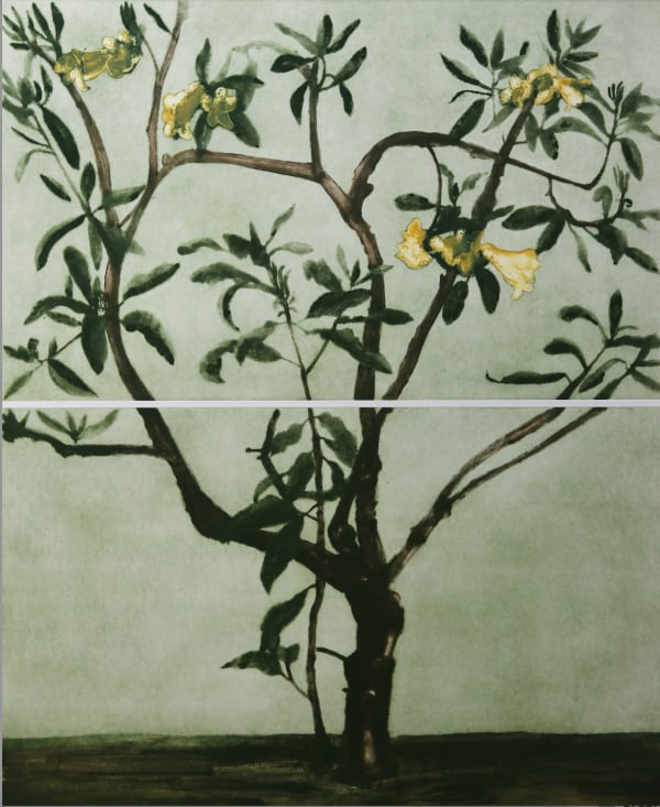 Cliona Doyle, Rhododendron Excellens, 2025