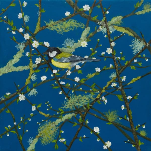 Melanie Miller, Great Tit, 2023