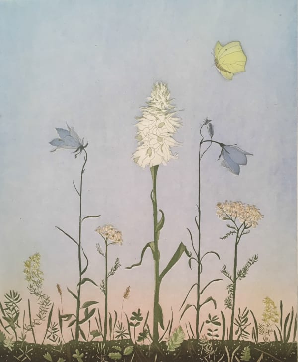 Cliona Doyle, Wild Orchid, 2018
