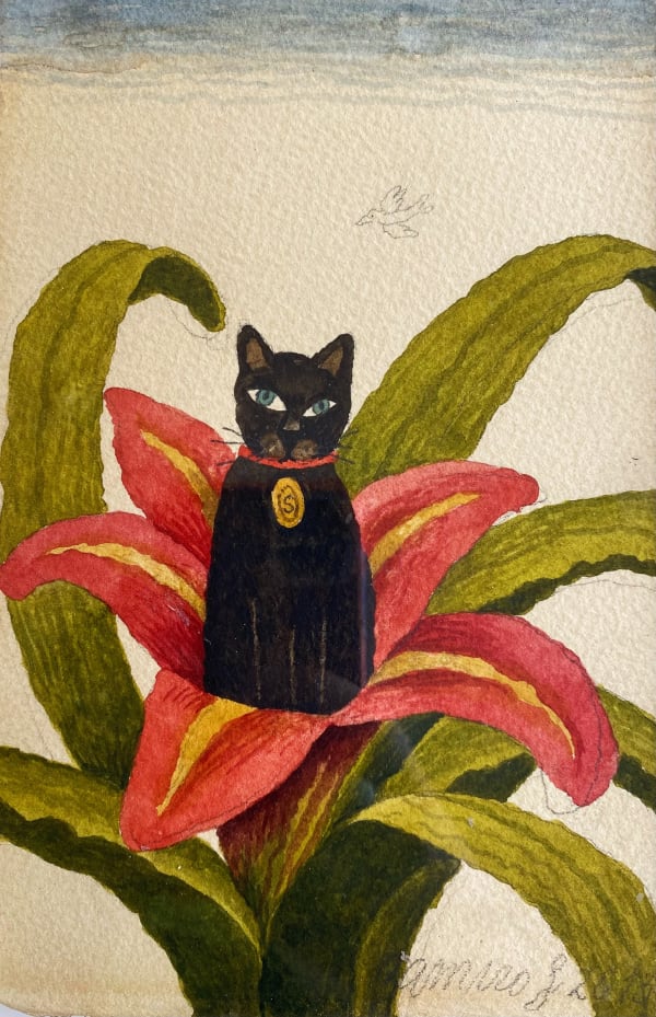 Ramiro Fernandez Saus, Cat in the Lily, 2013