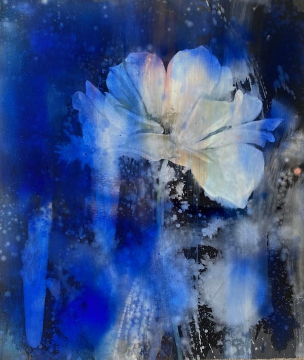 Nick Archer, Rose Ultramarine, 2024