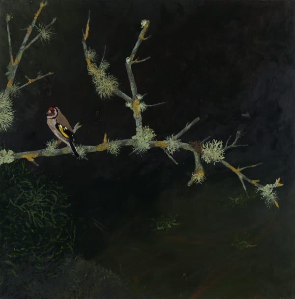 Melanie Miller, Goldfinch, 2023