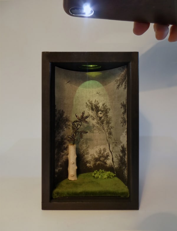 Melanie Miller, Glade, 2023