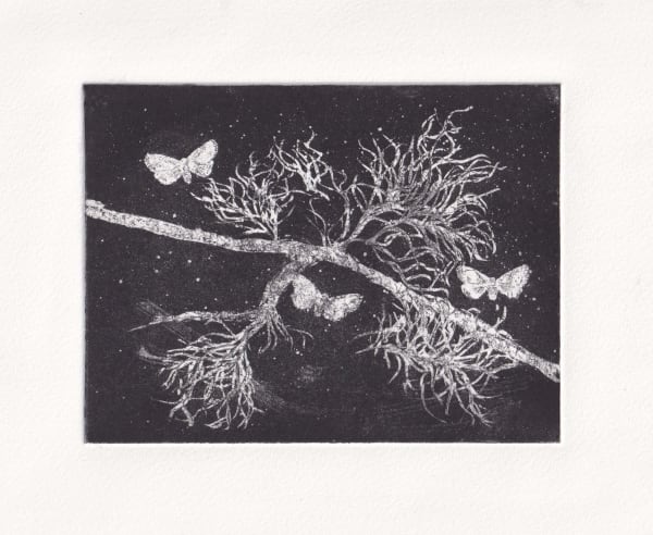 Melanie Miller, Sky Moths , 2024