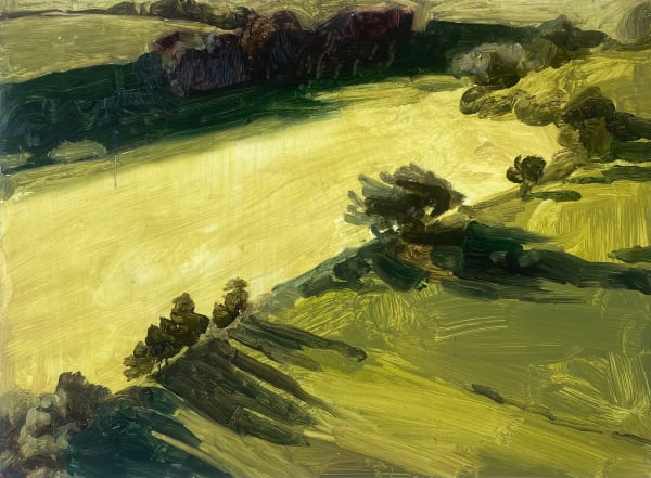 Henrietta Hoyer Millar, Green Valley, 2023