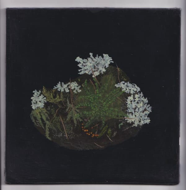 Melanie Miller, Understory Fronds, 2023