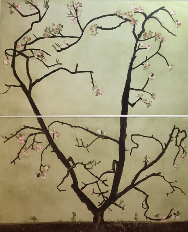 Cliona Doyle, Nectarine “Madam Gaillar, 2022