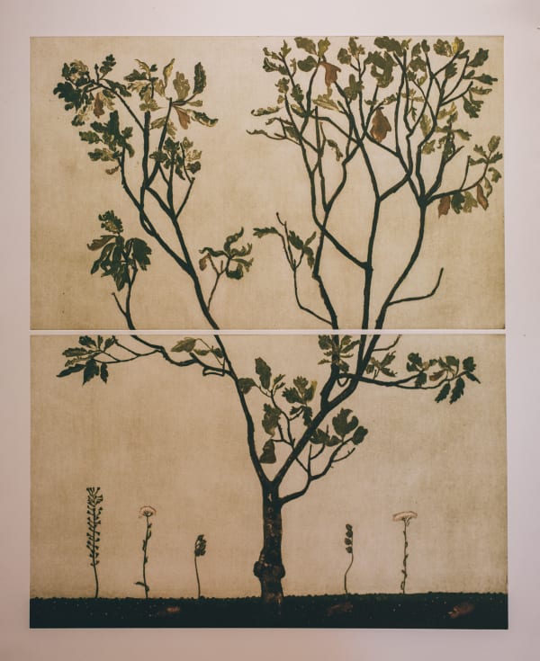 Cliona Doyle, Oak Tree, 2023