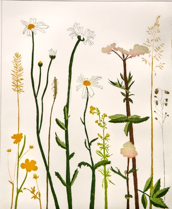 Cliona Doyle, Meadowsweet, 2018