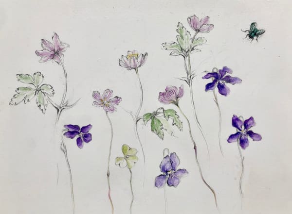 Jane MacEwen, Wood Anemones, Wood Sorrel and Violets, 2021