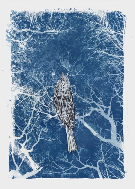 Melanie Miller, Sparrow, 2019