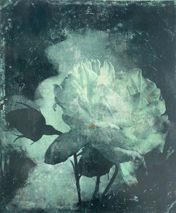 Nick Archer, Green Rose with Pink 1, 2025