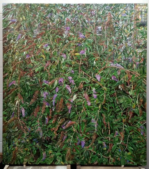 Geoff Routh, Buddleia, 2022