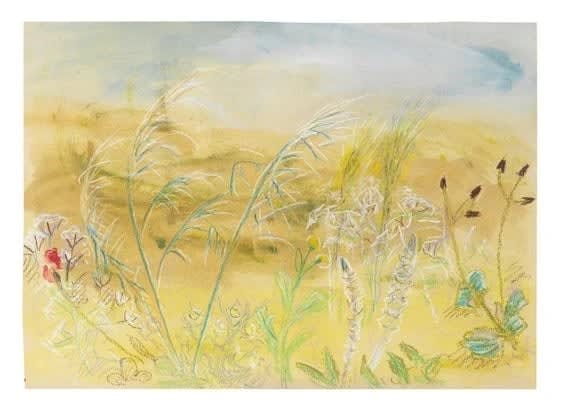 Winifred Nicholson, (British, 1893 - 1981), Wild Flowers, Greece, c. 1965