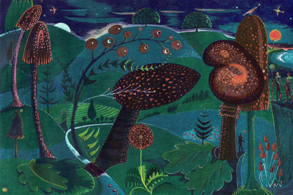 Kit Boyd, Magic Mushrooms , 2022