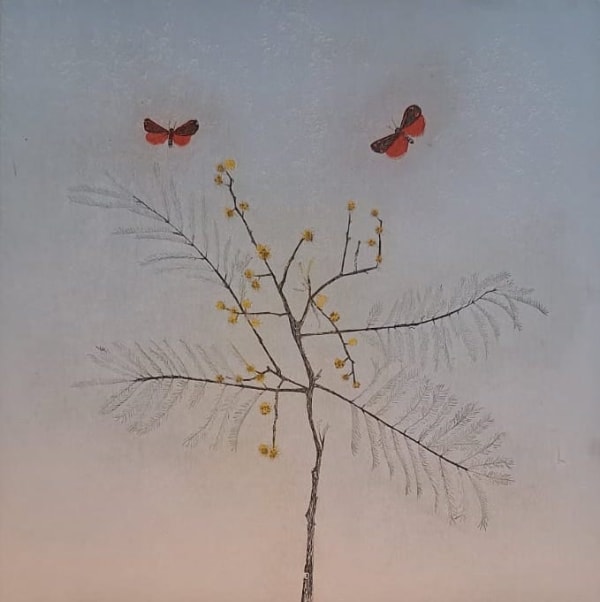 Cliona Doyle, Mimosa , 2024
