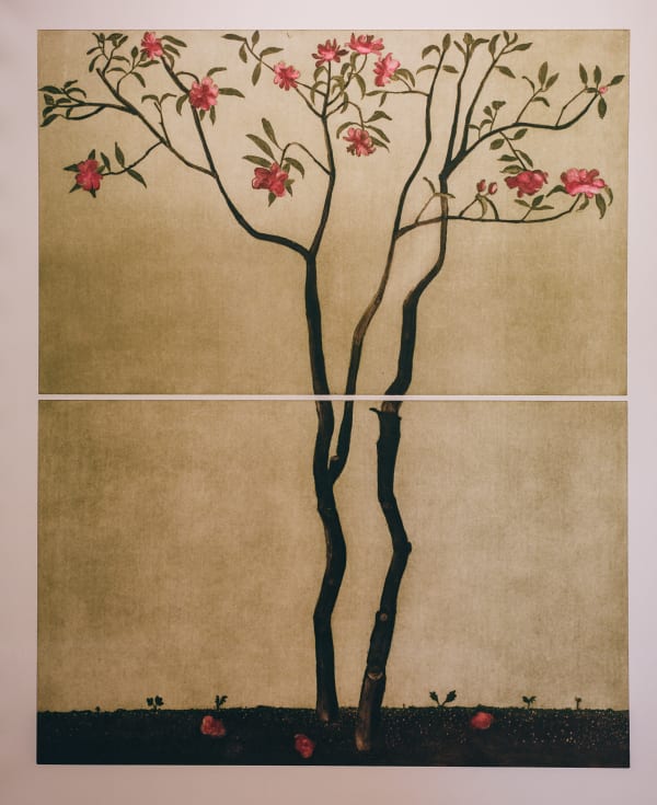 Cliona Doyle, Camellia Japonica, 2022