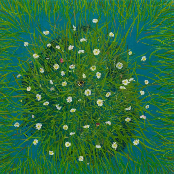 Melanie Miller, Daisies , 2023