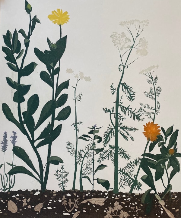 Cliona Doyle, Herb Garden , 2023