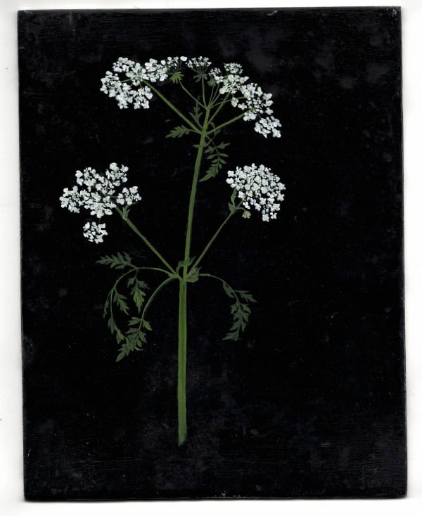 Melanie Miller, Cowslip April, 2020