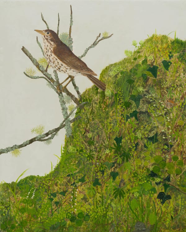 Melanie Miller, Thrush, 2023
