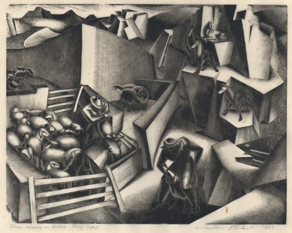 Sheep Dipping in Wales