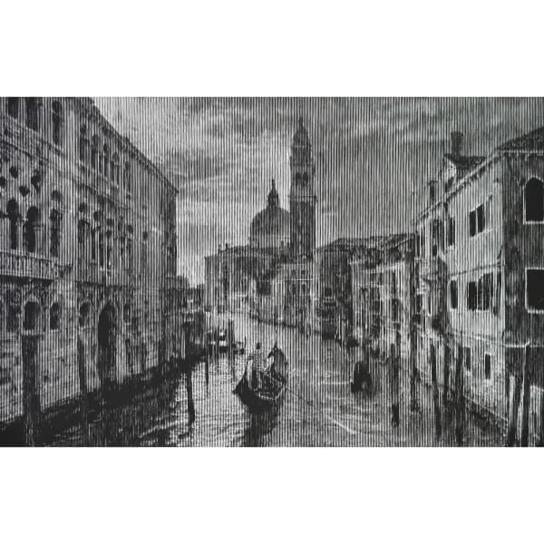 Almost Immortal Venice #1