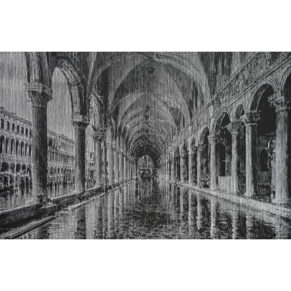 Almost Immortal Venice #2