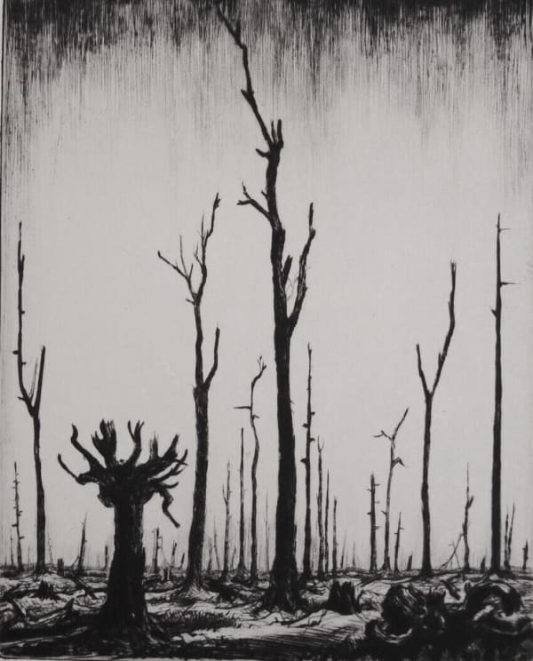 Thiepval Wood. 'Bare ruined choirs where late the sweet birds sang'.