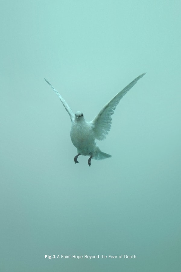 Fig.1 A Faint Hope Beyond the Fear of Death